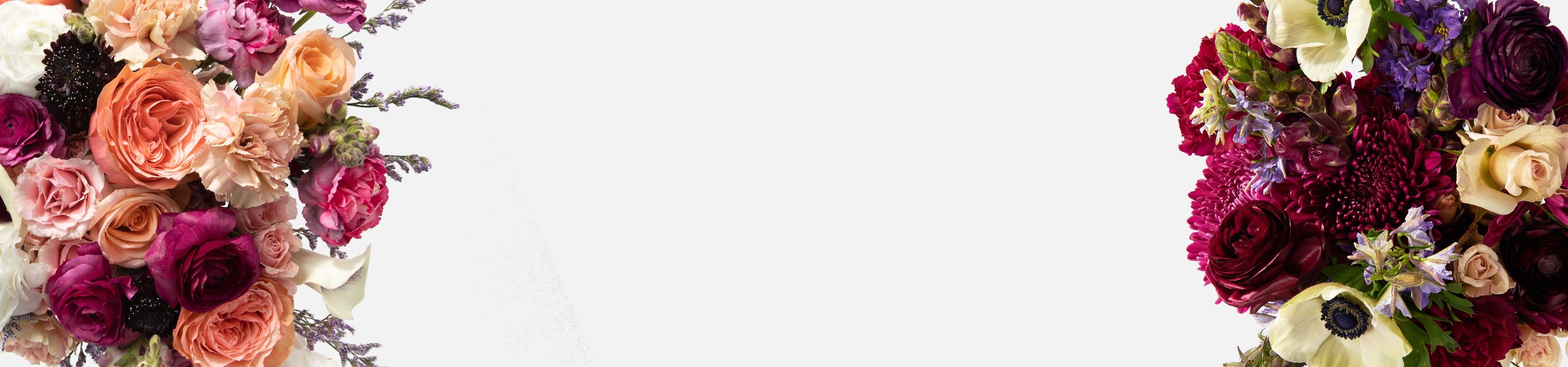 Find amazing products in Free Shipping' today urbanstems